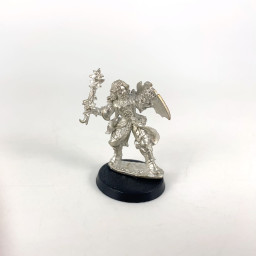 03347 - Larodin Dark Elf...