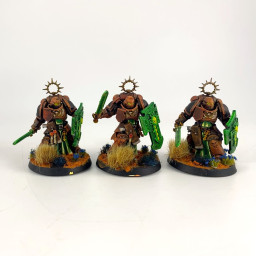 Bladeguard veterans