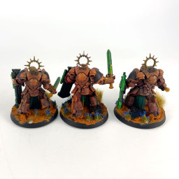 Bladeguard veterans