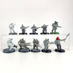 Neophyte Hybrids conversion