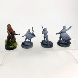 Heroes of the Rebellion FR