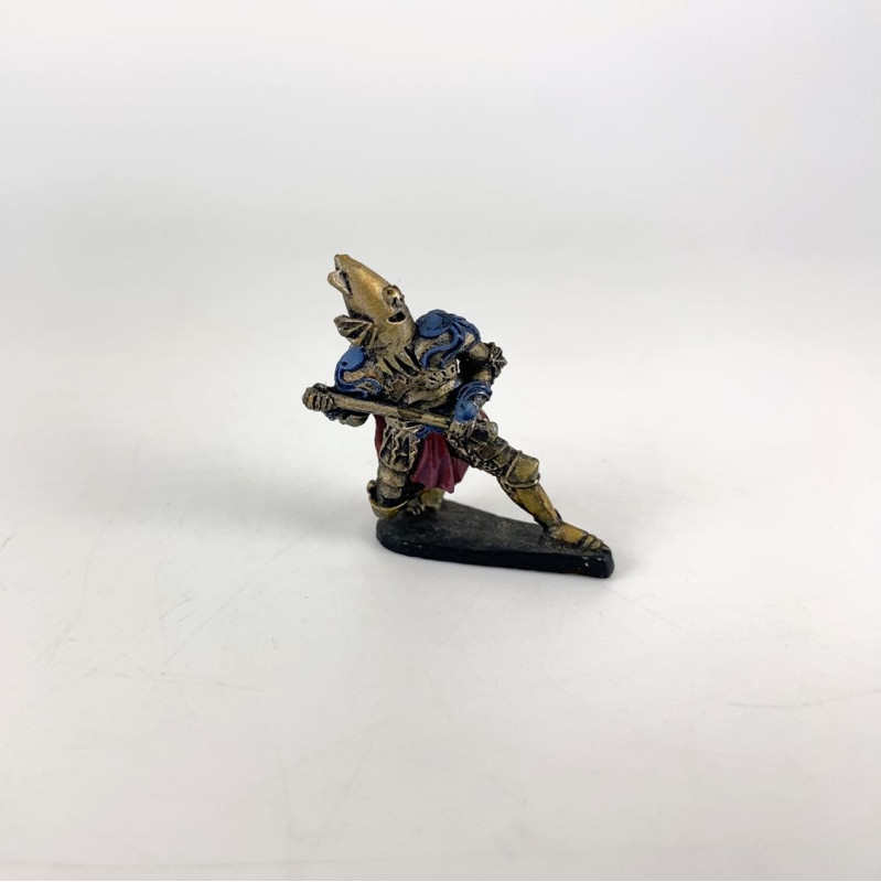 Guerrier avec armure