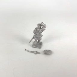 Warrior with sword and shield