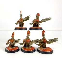 Auric Hearthguard