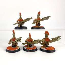Auric Hearthguard