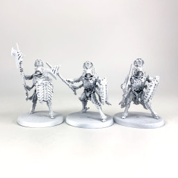 thumbnail image 2 of Games Workshop Warhammer Age Of Sigmar: Ossiarch Bonereapers Necropolis Stalkers / Immortis Guard NIB 2 of 4