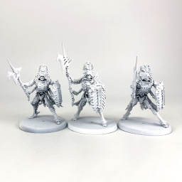 Immortis Guard