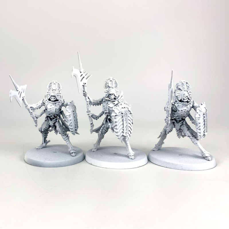 Immortis Guard