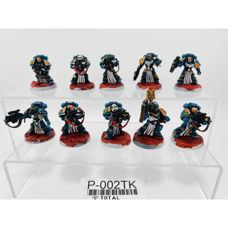 Sternguard Veteran