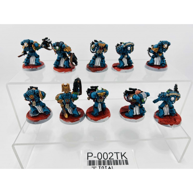Sternguard Veteran