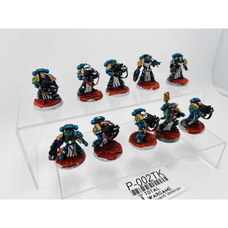 Sternguard Veteran
