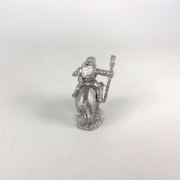 Aventurier sur cochon