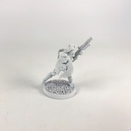 Valkyrie Elite Bodygard 