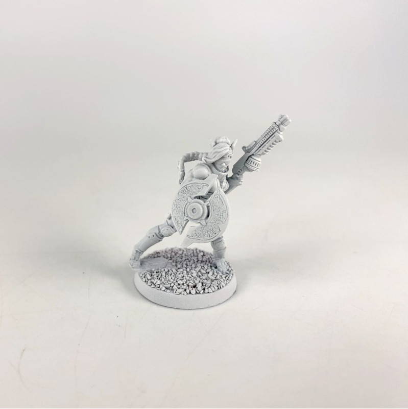 Valkyrie Elite Bodyguard 