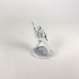 Valkyrie Elite Bodygard 