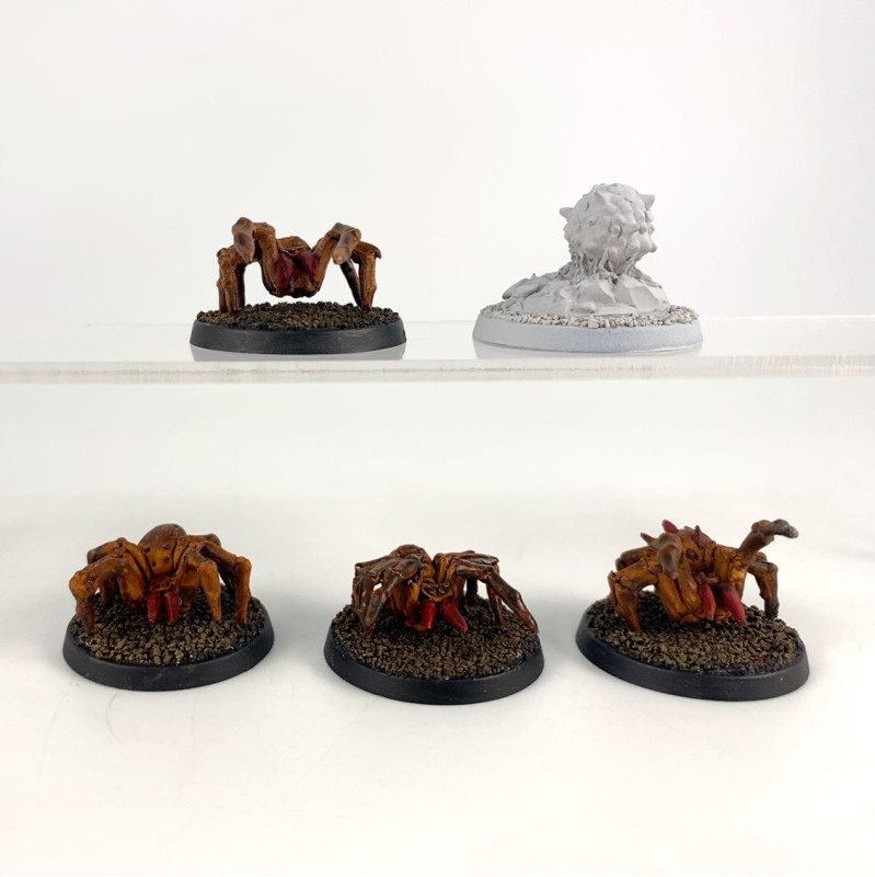 Crooked Dice - 7TV - Tunnel Spider