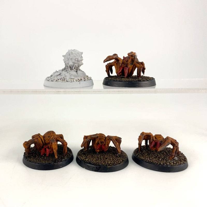 Crooked Dice - 7TV - Tunnel Spider