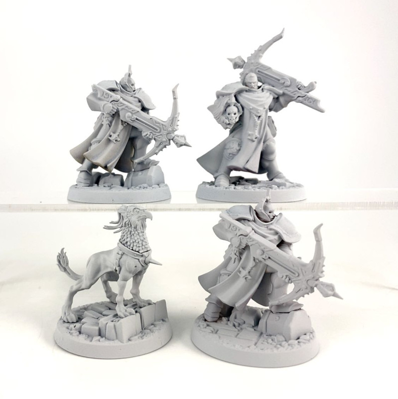 Easy to Build Castigators with Gryph-hound (Legend)