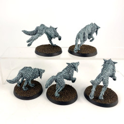 Fenrisian Wolves