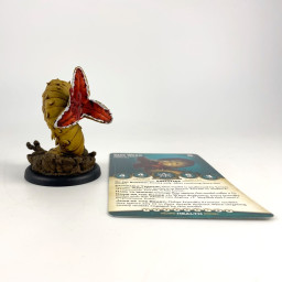 Wyrd Miniatures Explorer's...