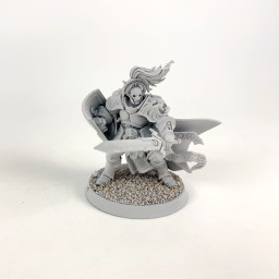 Knight-questor