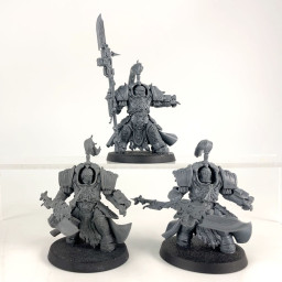 Shield-Captain in Allarus...