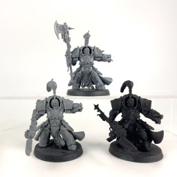 Shield-Captain in Allarus...