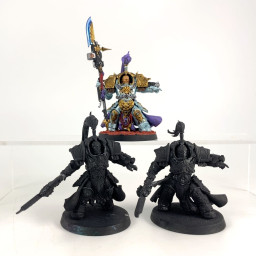 Shield-Captain in Allarus...