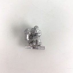 DW307 Ludvik Lightbearer...