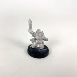 DW 303 Dwarf Dungeoneer Hagan incomplet