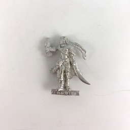 Elfe avec oiseau et épée