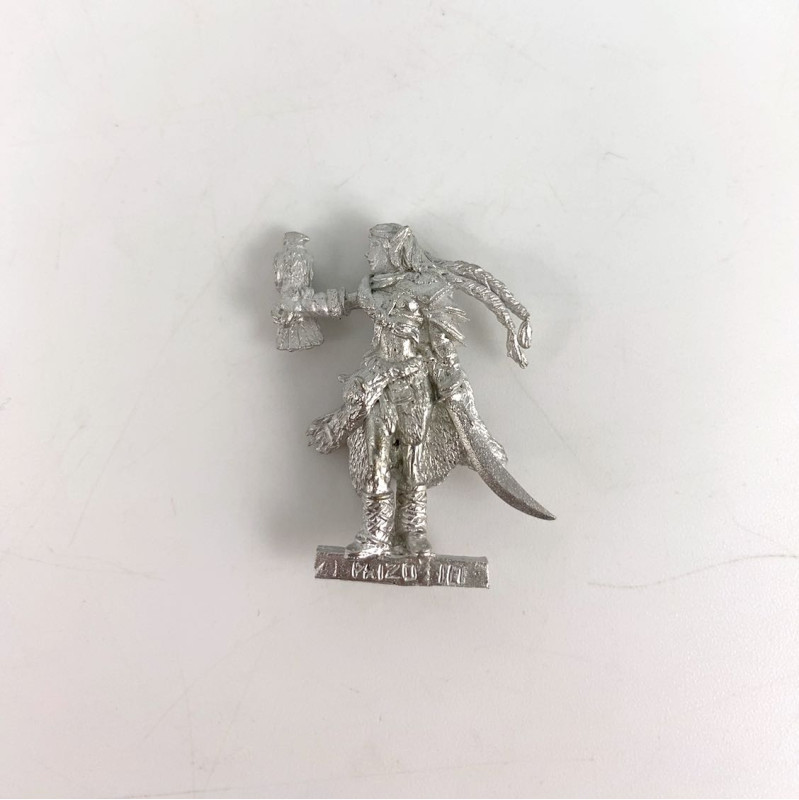 Elf with a bird and a sword