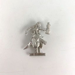 Elf with a bird and a sword