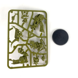 Plague Marine champion