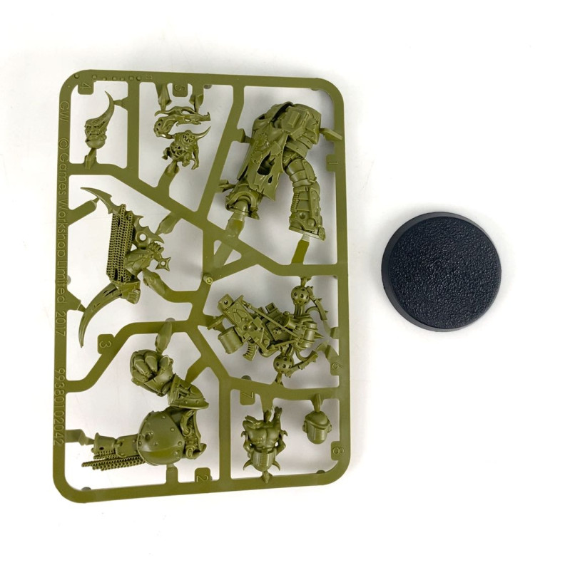 Plague Marine champion