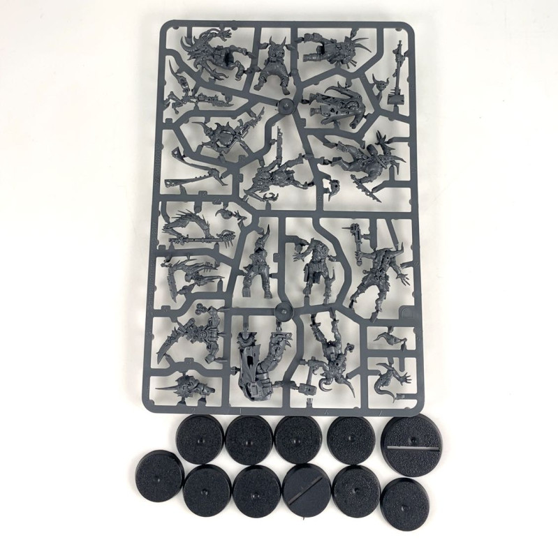 10 X Poxwalkers + 1 x Plague Marine