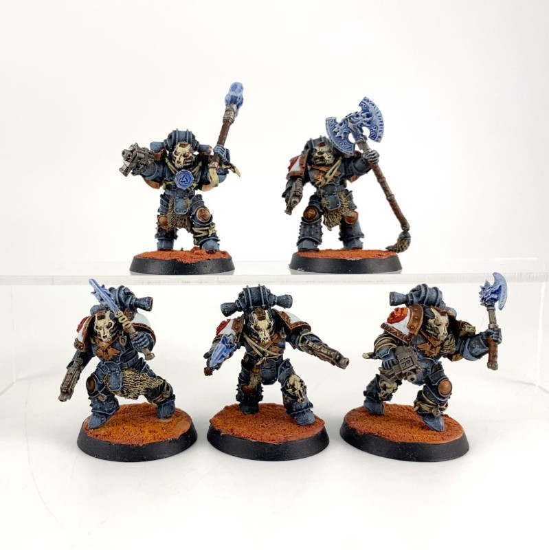 Space Wolves - Deathsworn Pack