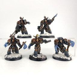 Space Wolves – Varagyr Wolf...