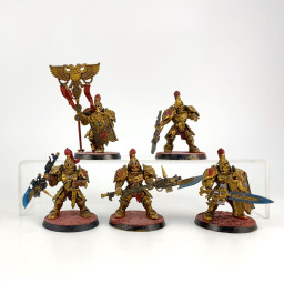 Custodian guards