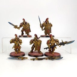 Custodian guards