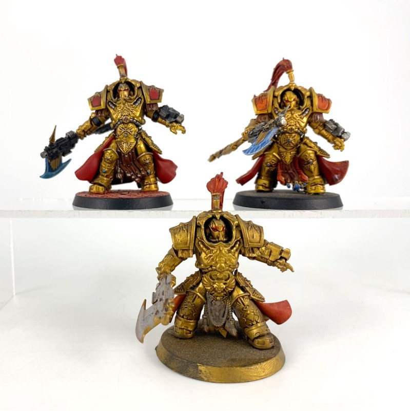 Shield-Captain in Allarus Terminator Armour