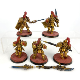 Custodian guards