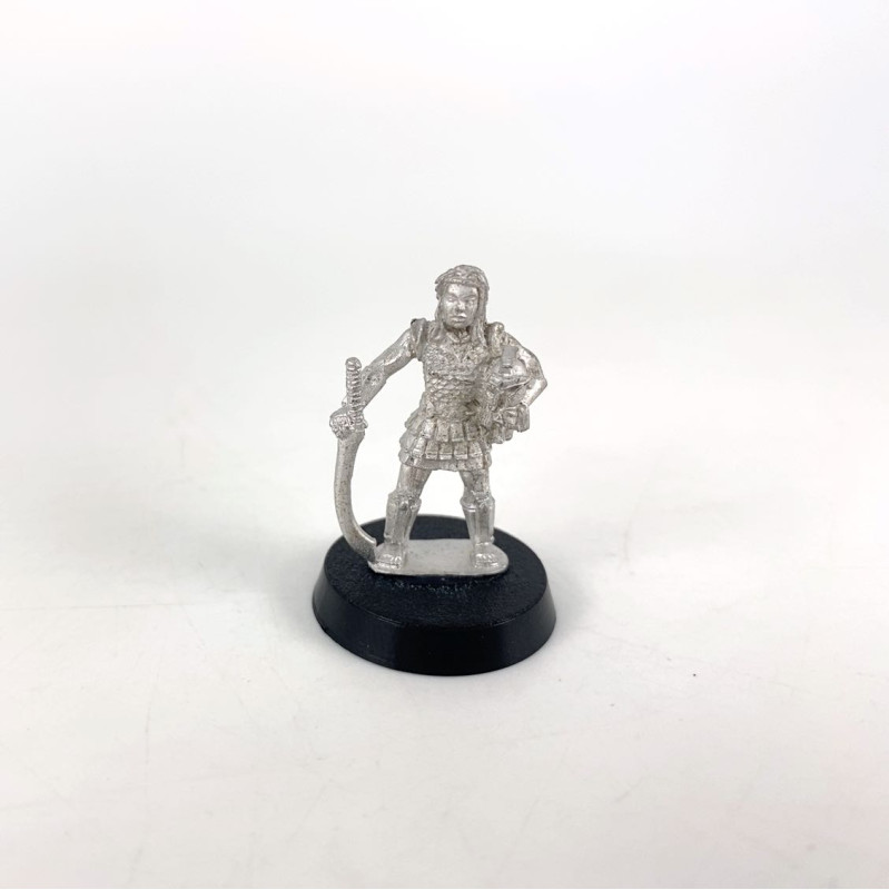 Warrior with a sword