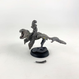 51-0455/48-0826: Wraith Rider with Scimitar