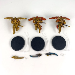 Forgeworld Custodian venataris