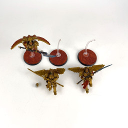 Forgeworld Custodian venataris