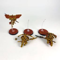 Forgeworld Custodian venataris