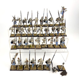 Guerriers squelettes