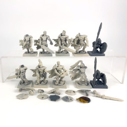 Guerriers squelettes proxy