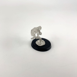 Ravens perched on an old tree